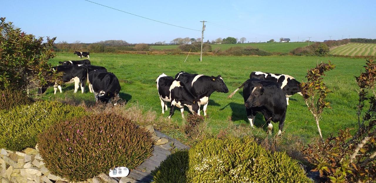 Murphys Irish Farmhouse Tralee Bagian luar foto