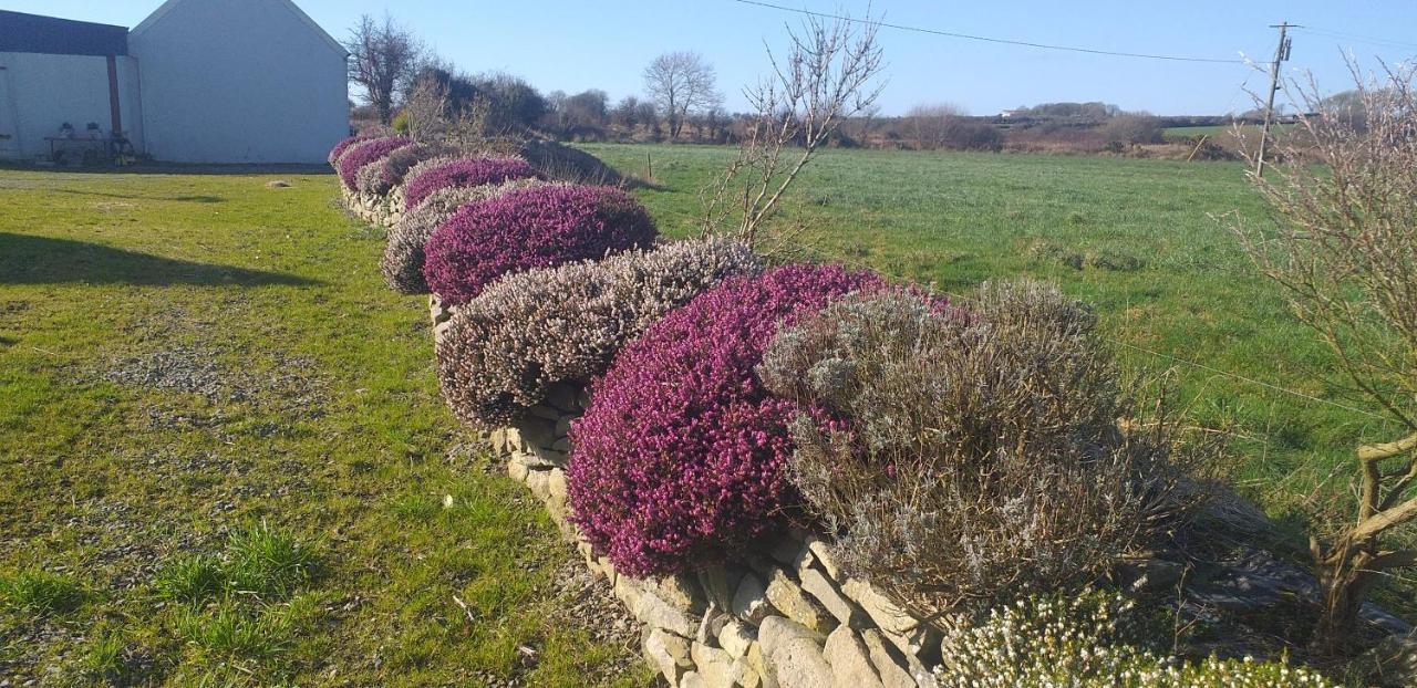 Murphys Irish Farmhouse Tralee Bagian luar foto